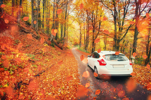 5 Maintenance Tips to Get Your Car Ready for Thanksgiving 